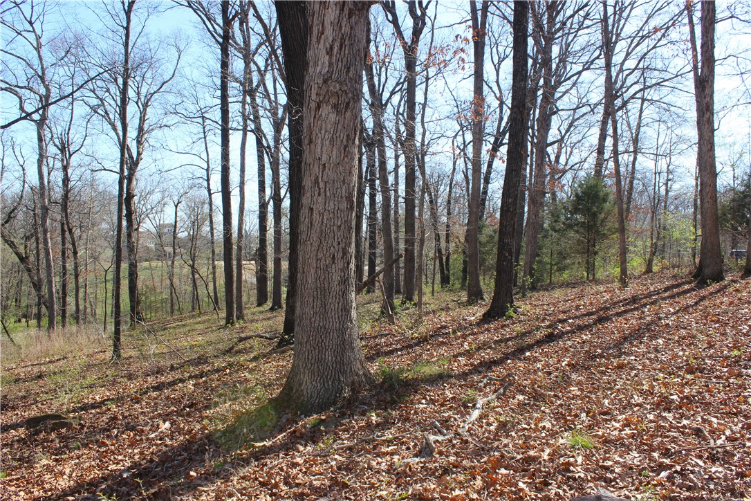 Bridlewood Sub Ph I - Land