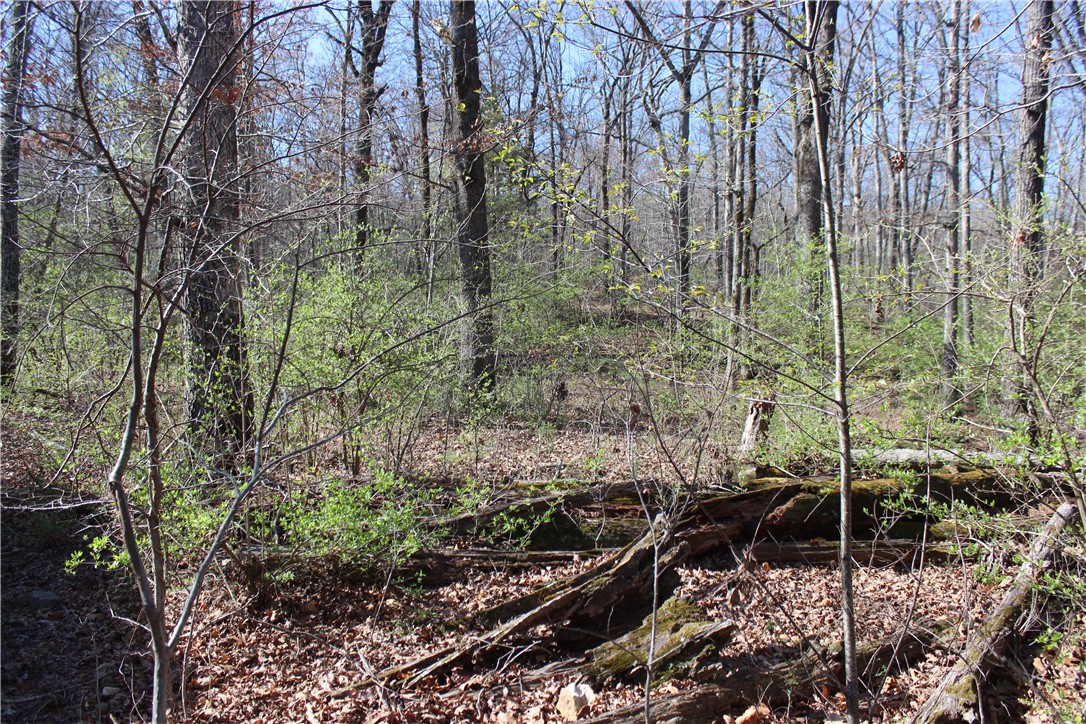 Bridlewood Sub Ph I - Land