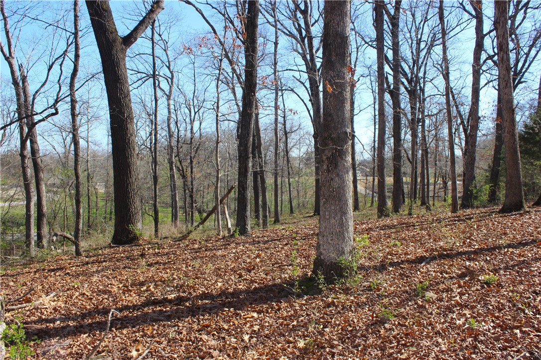 Bridlewood Sub Ph I - Land