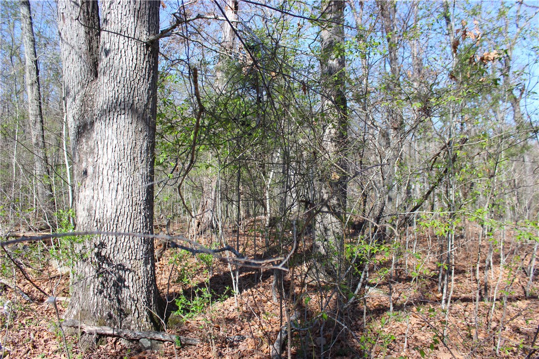 Bridlewood Sub Ph I - Land