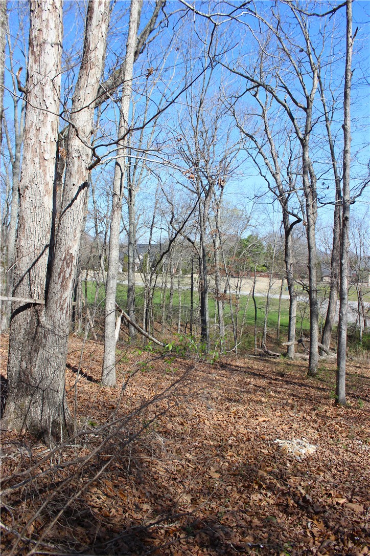 Bridlewood Sub Ph I - Land