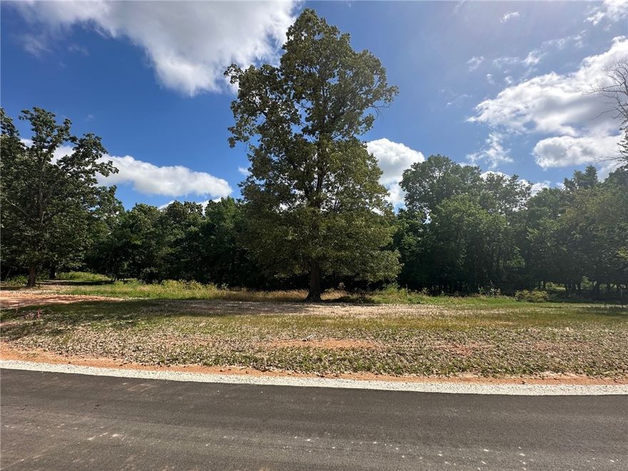 Discover Lot 32 of Blackberry Ridge, a scenic homesite integrated into the natural beauty of Fayetteville. This 0.75-acre lot provides the perfect canvas for your dream home, and you'll find yourself minutes away from I-49, providing easy access to shopping, dining, and more. The community includes a pool, pavilion, and soft walking trails. *Agent Owned*