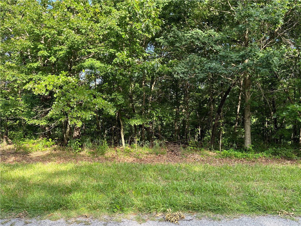 Build your home on this secluded lot right on the edge of Bella Vista's POA which offers Golfing, fishing, swimming, shooting range, rec centers, and more! Walking distance to Little Sugar Trails and near hundreds of miles of bike trails! Only a short drive to I-49 to quickly commute anywhere in NWA. Barbed wire fence backing the property