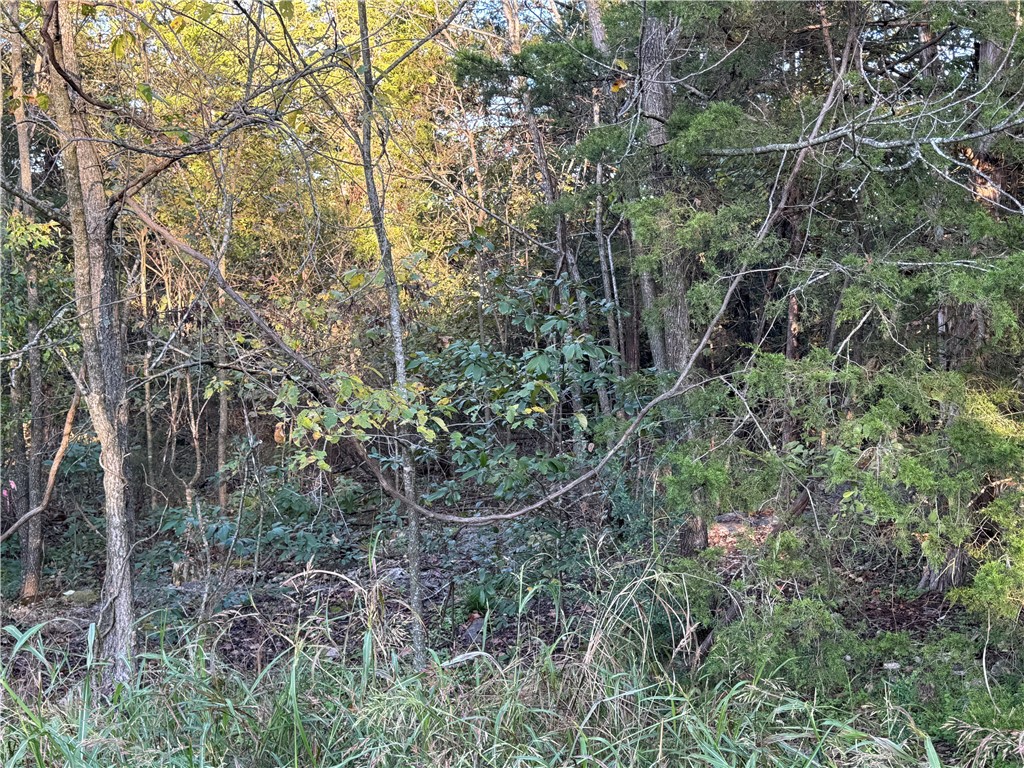 Birmingham Sub-Bvv - Land