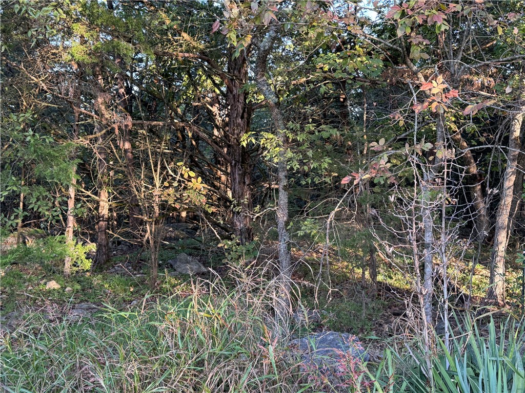 Birmingham Sub-Bvv - Land