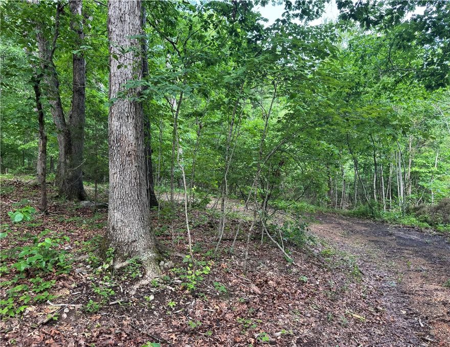 Rare 1.21 acres in a fantastic location not far from 71B and the new downhill bike park. Backing up to Down Under Loop, access to the incredible Bella Vista trail system couldn't be easier. Gently sloping, 3 separate lots could be combined for your Bella Vista dream home or kept separate for several large building lots.