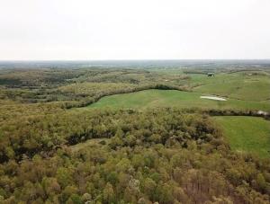 Looking for a great building location with water and electric available? Great views, wooded, wildlife, headwaters of Hog Creek start on the property. More land available. Older chicken houses in the aerial photo are no longer on the property.