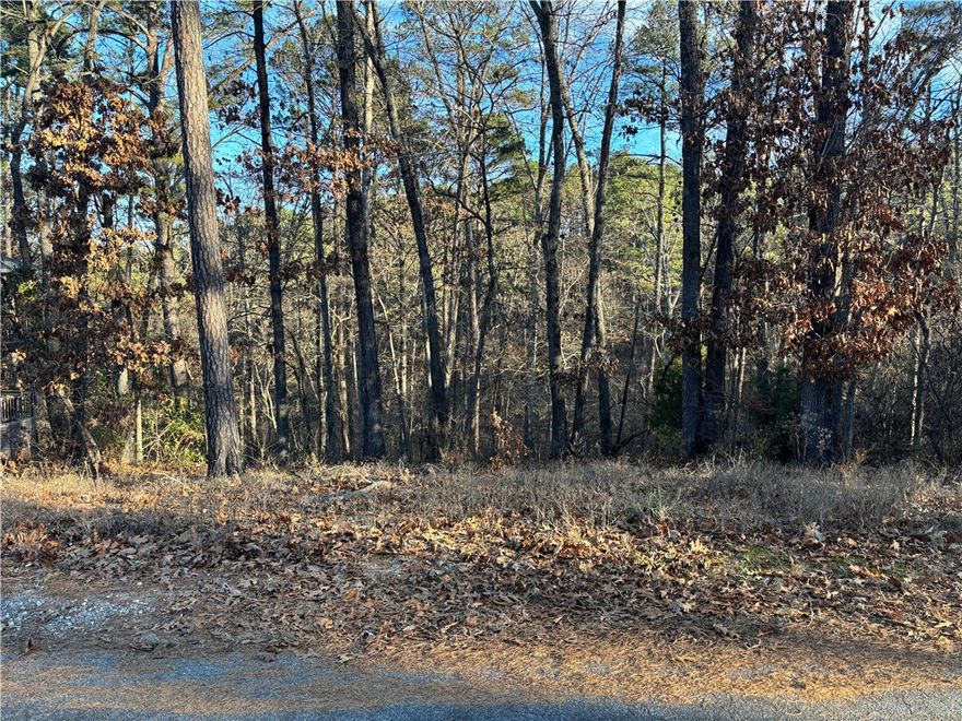 Quick access to Hwy 71/Bella Vista Way with close proximity to The Back 40 Loop mountain biking trail sets this lot apart.  Located between Lake Ann and Lake Rayburn, less than one mile from Buckingham Trailhead on Back 40 Loop, less than a half mile from Hwy 71, and in Bentonville school district. Enjoy the amenities Bella Vista has to offer including golf courses, lakes, tennis/pickle ball courts, swimming pools, and 100 plus miles of trails.