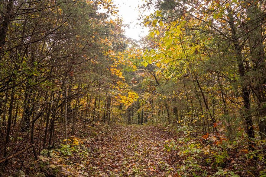 6.62 unrestricted acres right off of AR-74 in a beautiful location. This property has already begun the clearing process and features a pond, making it the ideal property for a peaceful getaway, building spot, or hunting weekend. The drive to the land is absolutely gorgeous, surrounded by rolling hills and country views that instantly make you feel at home.