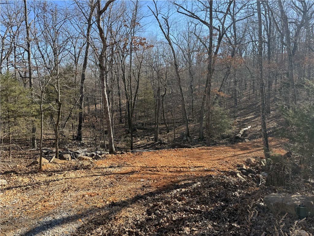 Hickory Hollow Sub - Land