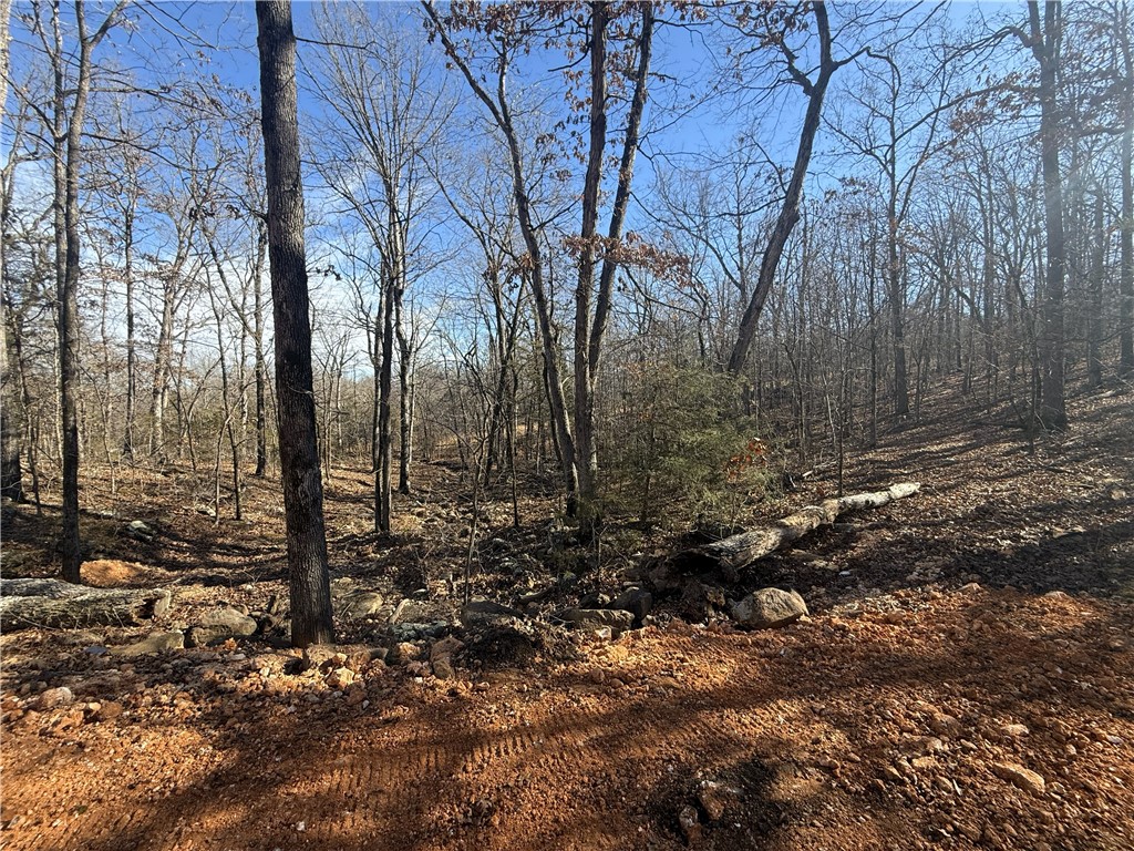 Hickory Hollow Sub - Land