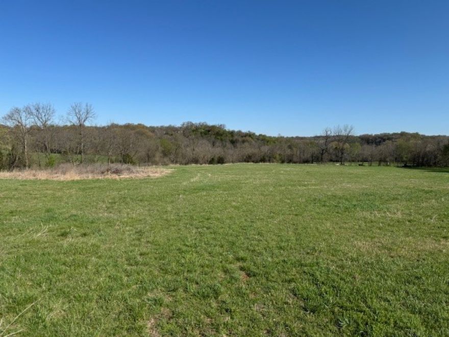 Great development opportunity or a place to call home. The way you would like to build on 6.05 acre meadow is the perfect setting to country living, 15 minutes from town. Septic tank needed, open level with utilities at the street.