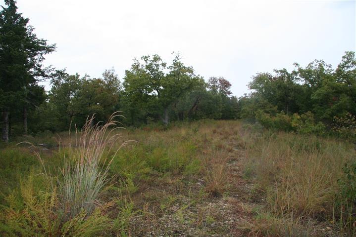 220 wooded acres at the end of the road with 760 sq.ft. hunting cabin, view of Bull Shoals Lake and joins the lake line. The land has been select cut over. Cave, 1 spring feed creek. *Owner said to make offer*