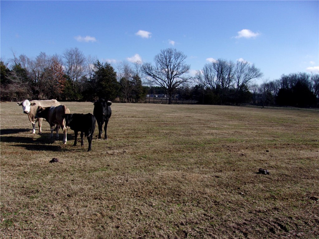 Springdale Outlots - Residential