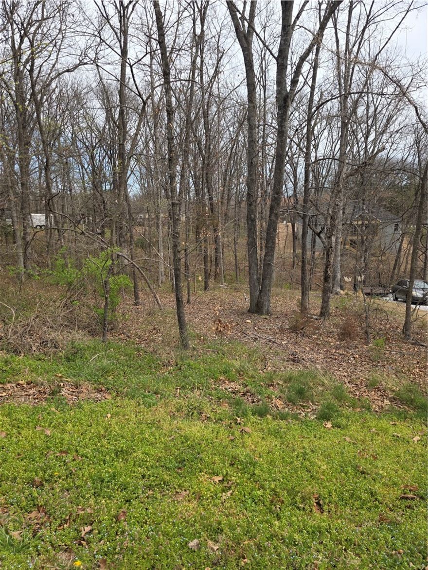 Perfect lot for your dream home in beautiful Bella Vista.  This .31 acre lot features a mild slope compared to others in the area, has CITY SEWER available, and is close to many amenities such as Metfield Golf Complex, The Back 40 trails, and just 15 minutes to downtown Bentonville.
