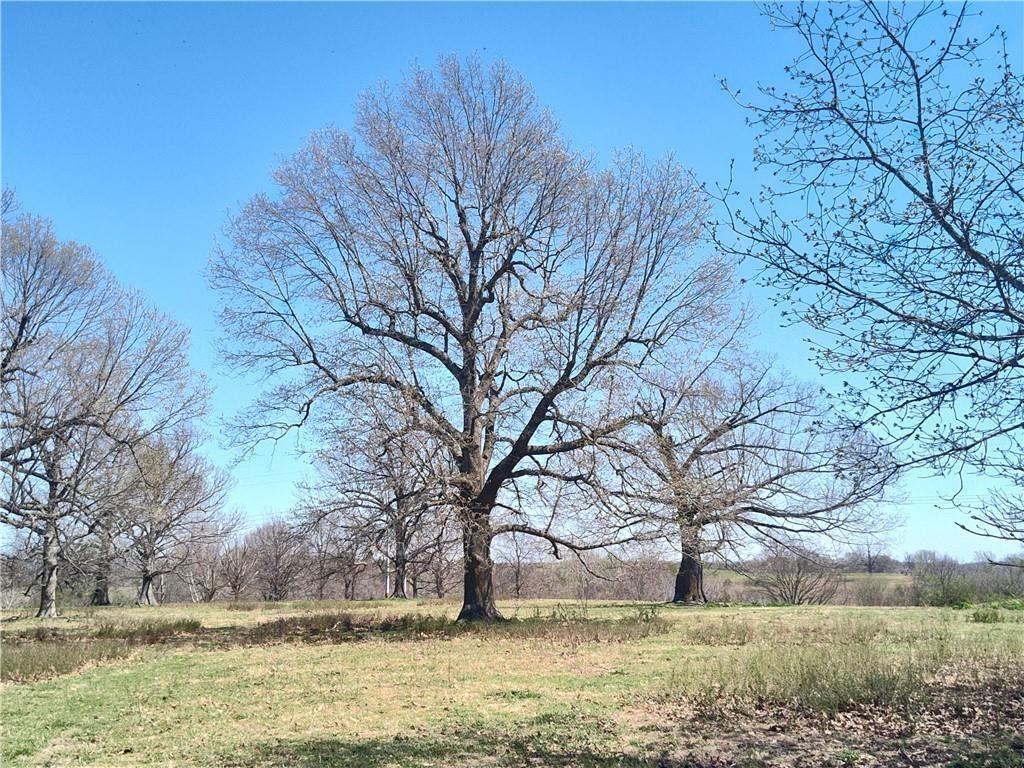 94.77 acres Hewitt Springs