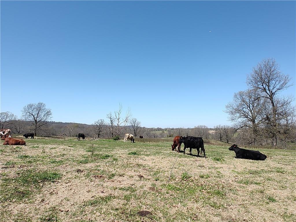 94.77 acres Hewitt Springs