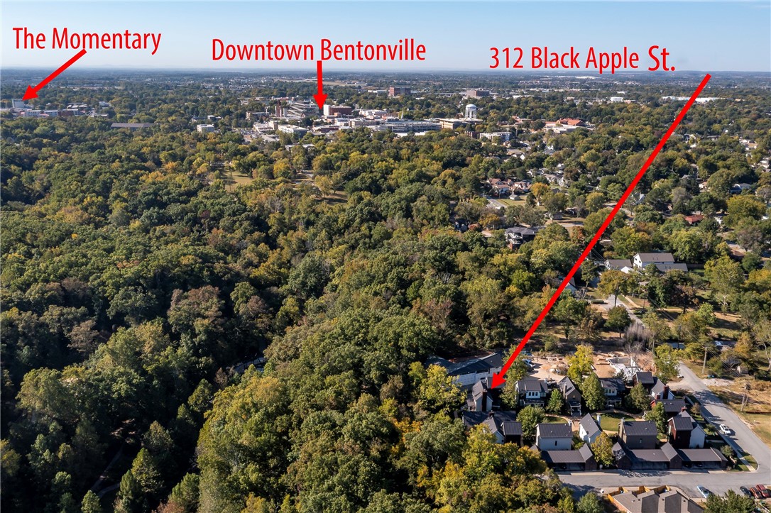 Black Apple - Residential