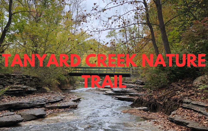 Somerset - Residential