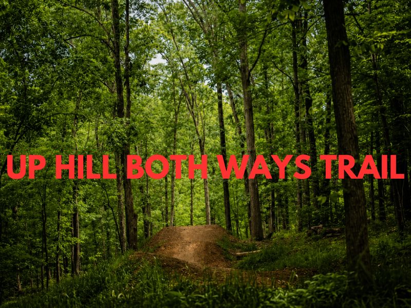 Somerset - Residential