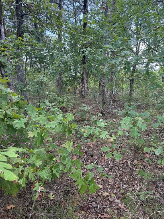 Oaks Landing On Table Rock Lake - Land