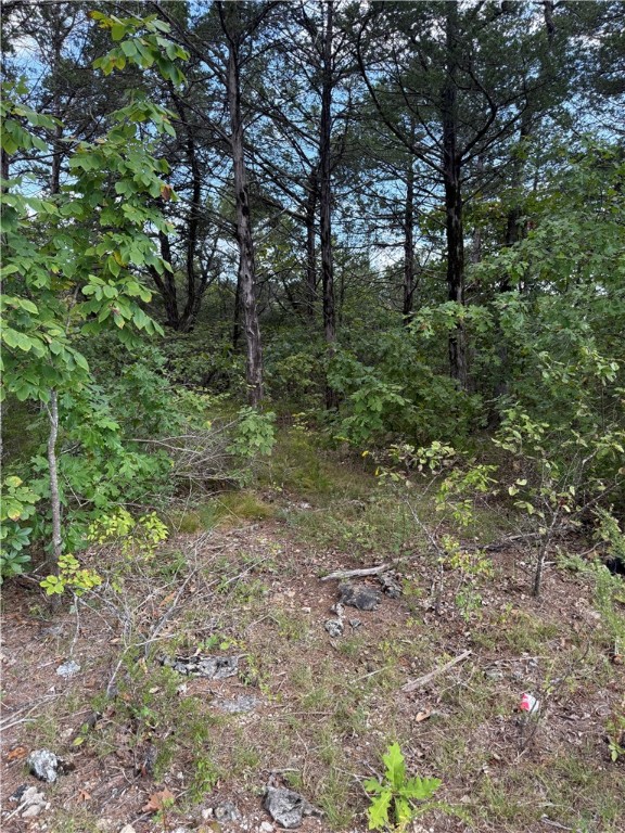 Oaks Landing On Table Rock Lake - Land