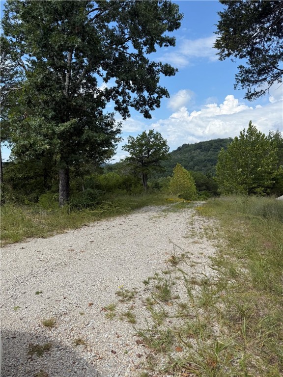 Oaks Landing On Table Rock Lake - Land