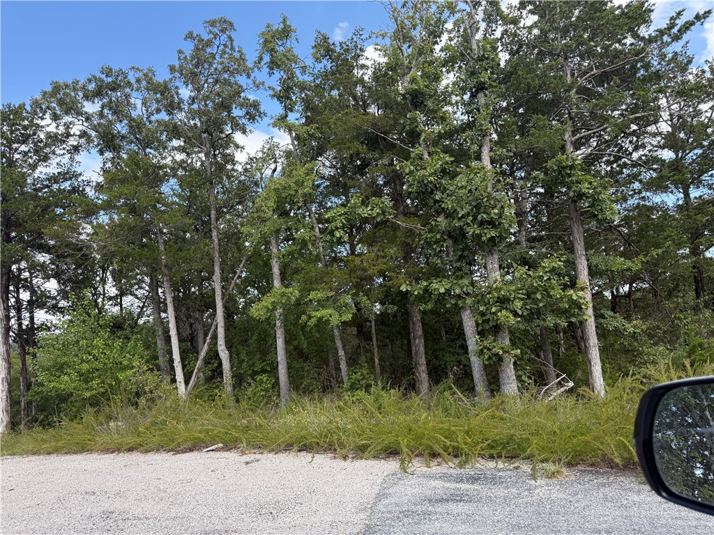 Nestled between Table Rock Lake and the Mark Twain National Forest, this 5.1-acre parcel sits in an upscale 45-lot subdivision designed for privacy and natural beauty. Mature hardwoods provide brilliant fall color and vibrant spring blooms, creating a stunning backdrop for your dream home.
A private subdivision-owned swim and fishing dock offers easy access to Table Rock Lake, while the surrounding forest delivers endless opportunities for outdoor recreation. Conveniently located just 30 minutes from historic Eureka Springs and an hour from Branson, this property combines seclusion with accessibility.
Discover the perfect balance of nature, community, and convenience on this beautiful piece of land.