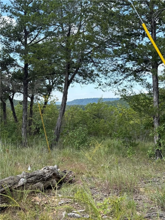 Oaks Landing On Table Rock Lake - Land