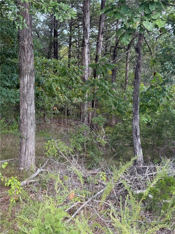 Oaks Landing On Table Rock Lake - Land
