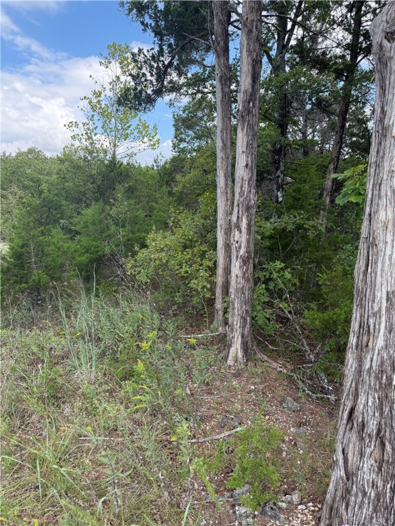 Oaks Landing On Table Rock Lake - Land