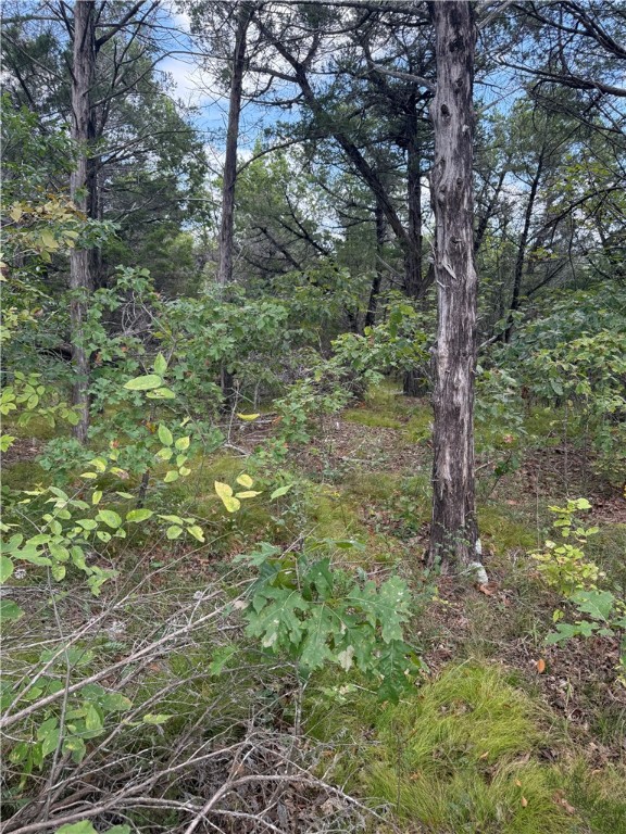 Oaks Landing On Table Rock Lake - Land