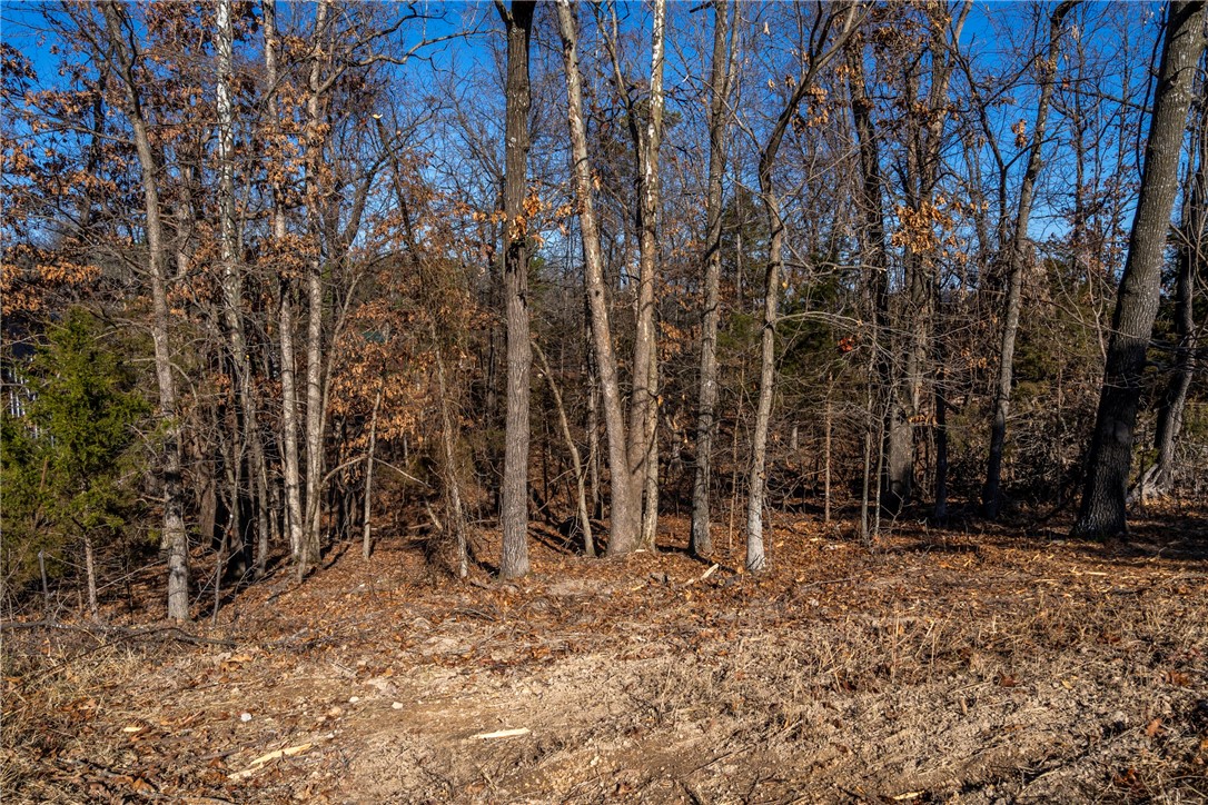 Tanglewood Resort 1 Rurban - Land