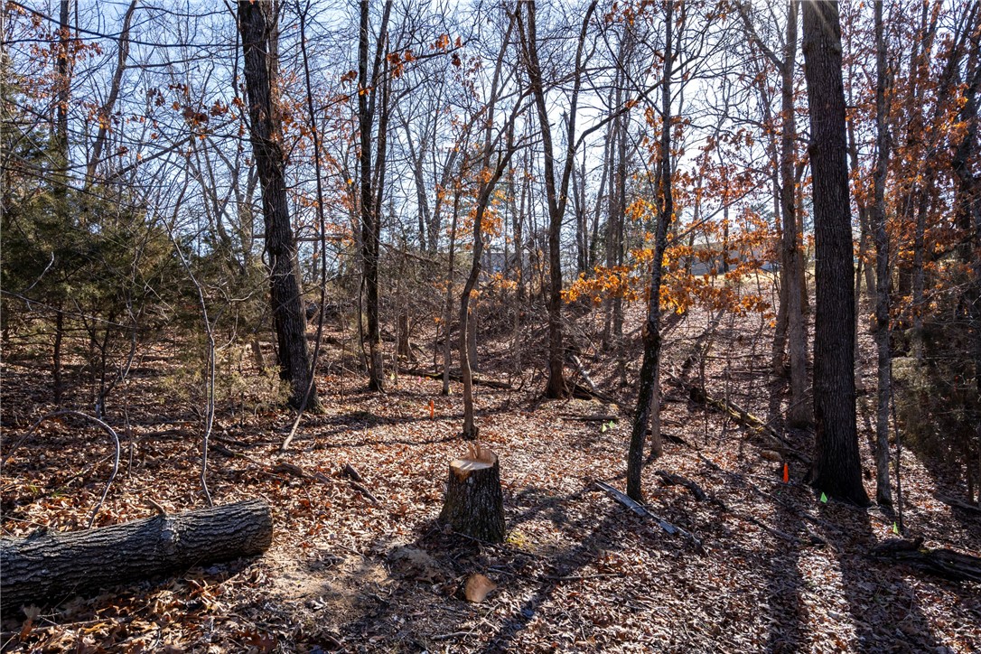 Tanglewood Resort 1 Rurban - Land