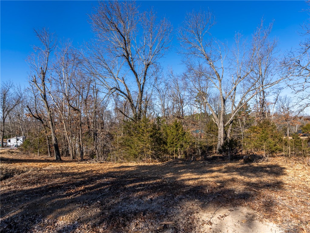 Tanglewood Resort 1 Rurban - Land