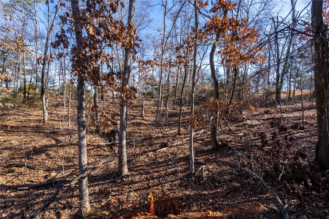 Tanglewood Resort 1 Rurban - Land