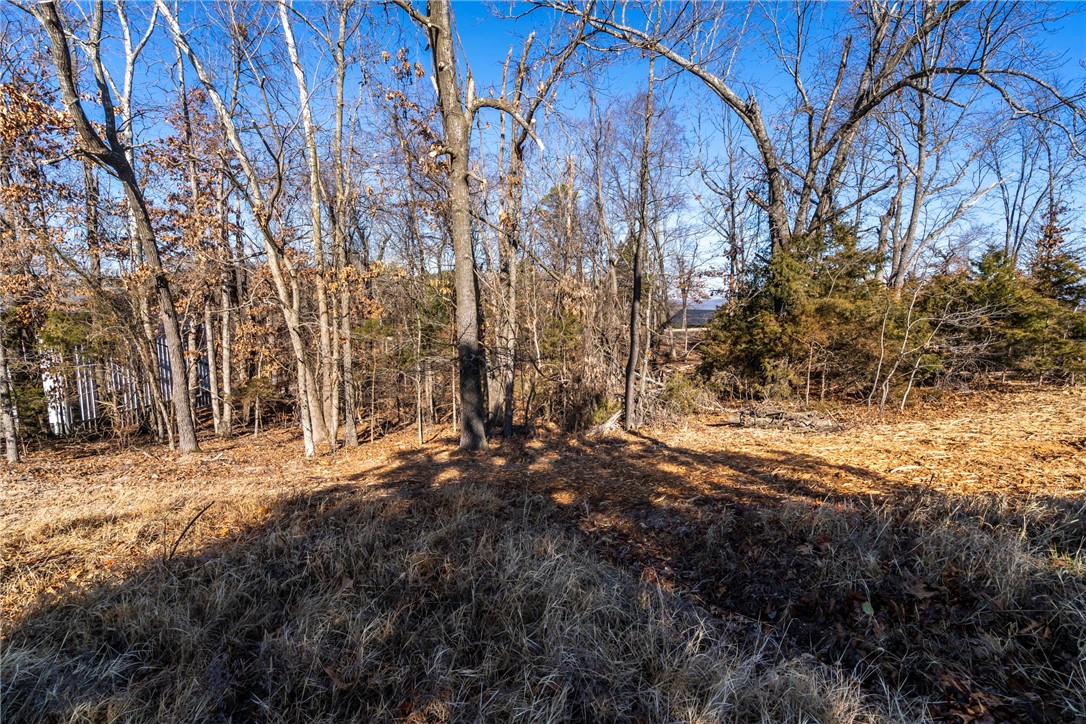 Tanglewood Resort 1 Rurban - Land