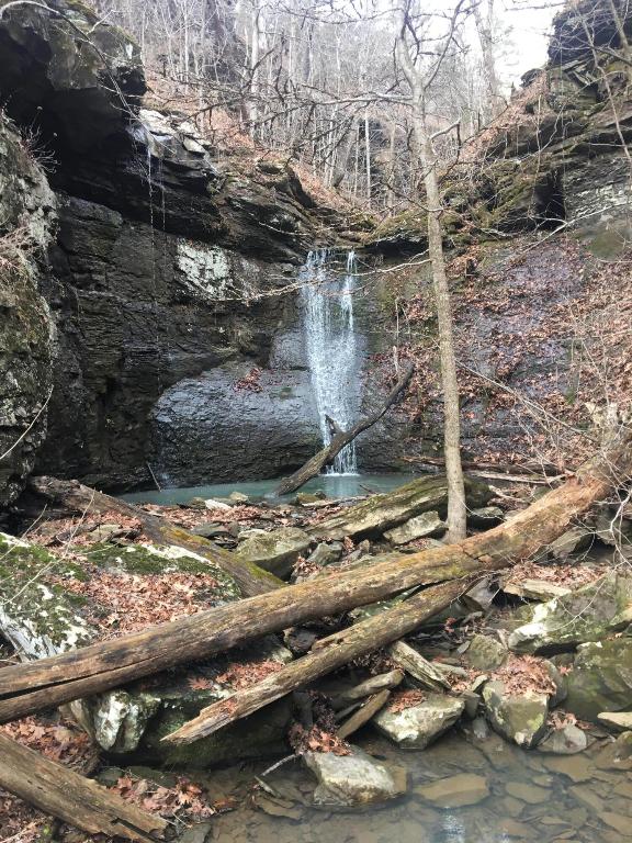 Calling all outdoor enthusiasts! This 75.82-acre tract offers some awesome bluff line & boulders. A beautiful creek with moss covered rocks with cascading waterfalls. Property has some great views overlooking the Little Buffalo River Valley. It already has one location cleared for a cabin spot. The seller has a 2021 Forest River travel trailer on the property and is willing to sell for an additional amount. There is deeded access to the property and for electric.