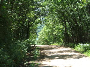 Check out this neat parcel consisting of 13 lots in Jowasake Acres. Mostly wooded tract fronts 2 county roads and is within walking distance of the Bear Creek arm of beautiful Bull Shoals Lake. Property lays well and has electric available if you're looking to build that dream home or just want to find a spot for that lake cabin. You need to give this a look!