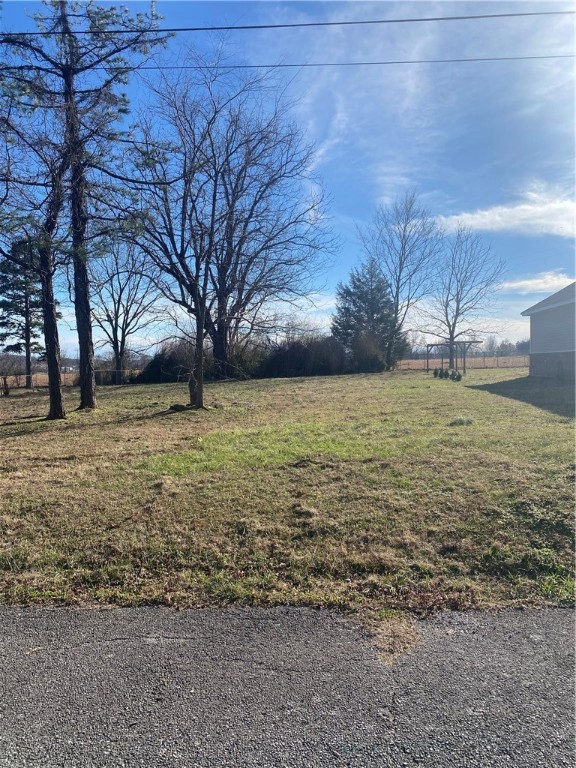 Nice level building site with no size restrictions, build your dream house. A short walk from the park.
