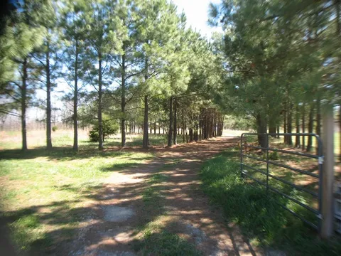 15316 Northview Road, Elkins, AR 72727 - MLS#: 1292703