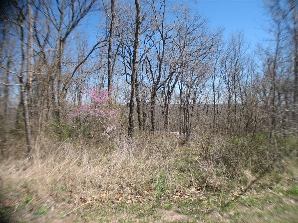 Trammel Mountain Estates - Residential
