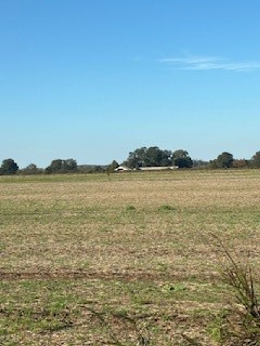 Over 200 acres of pristine row cropped land.