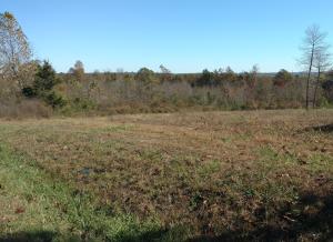 Prime Land on Airport Rd! This land borders a subdivision and could be subdivided or used to build your dream home. This land is directly across from the Airport and would also be great for a mechanic shop or commercial building. Come take a look at this land as it will not disappoint!