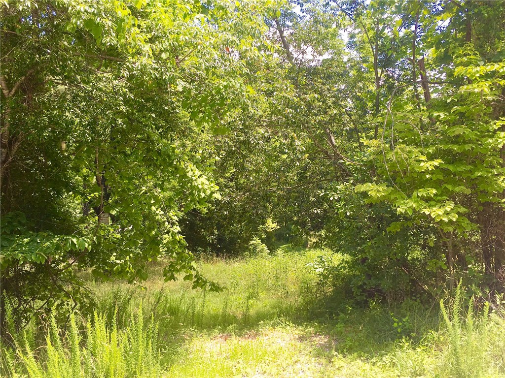 Mountain Lake Estates - Land