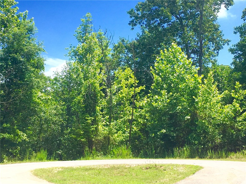 Mountain Lake Estates - Land