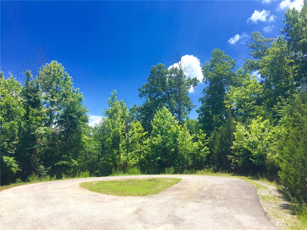 Beautiful lot in a great location! Perfect location for building your dream home in Mountain Lake Estates. Perc tested for a 4 bedroom septic. This is the perfect lot for a walk out basement. Secluded setting where nature and wildlife abound. Near Beaver Lake and convenient to Rogers.