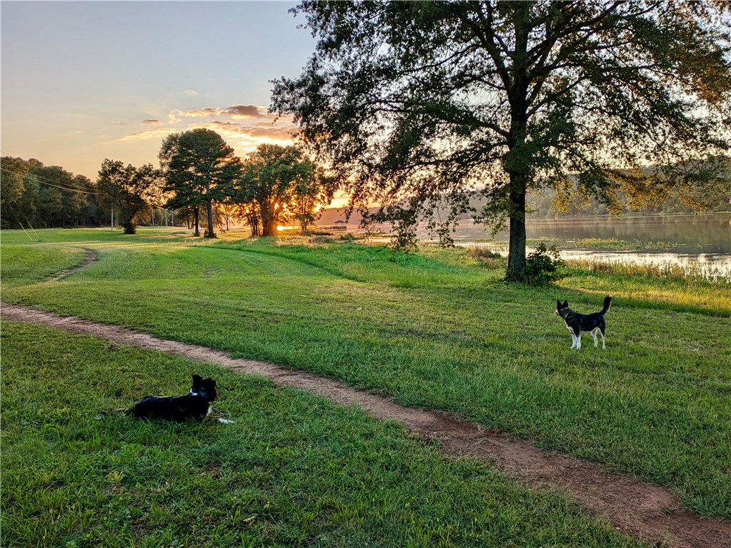 ROCK WALL HEIGHTS - Residential