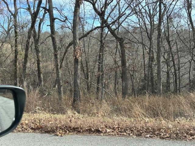 Unit 8 Holiday Island - Land