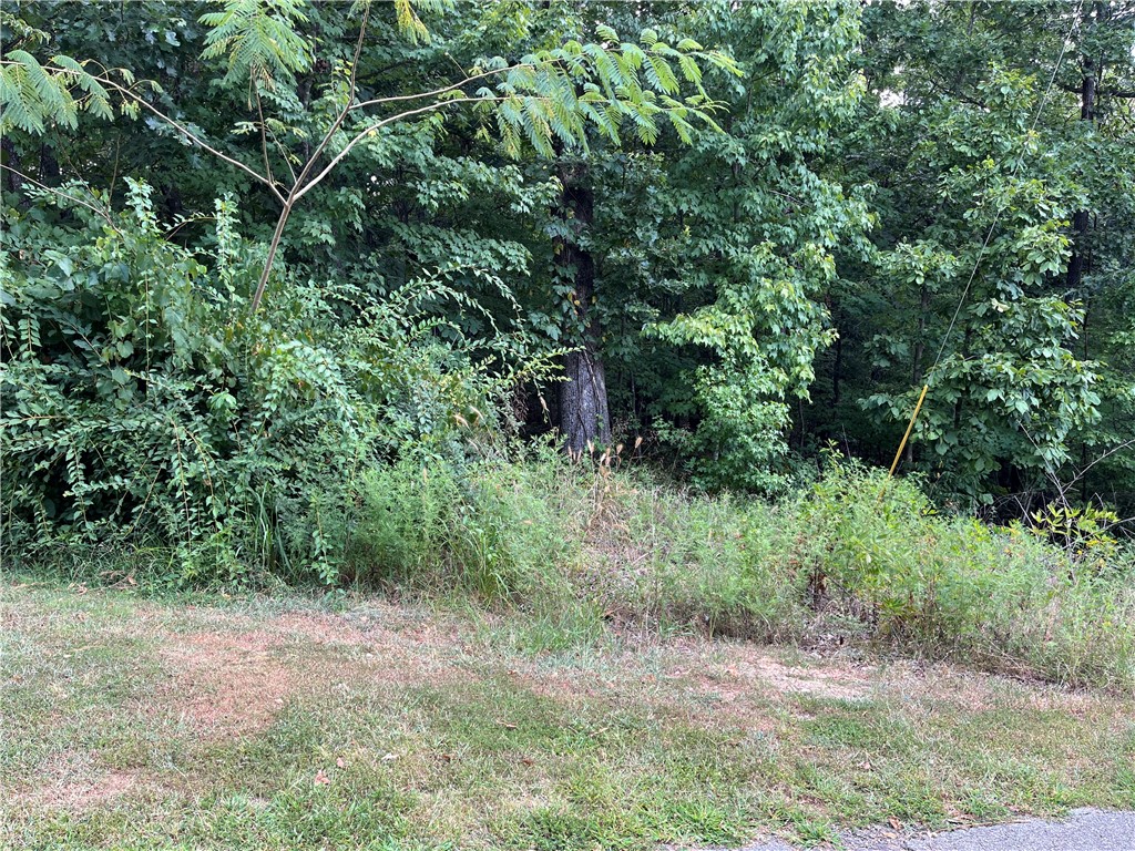 Great location in the Highlands near the Lake Loch Lomond boat ramp on Stoneykirk Dr and right across the street from the Branchwood Recreation center on Glasgow Rd. This half-acre, wooded lot would offer your home the privacy of nature while remaining in a conveniently located area that is easily accessible by all paved roads. The short commute to I-49 makes travel easy for anyone looking to live in NWA.